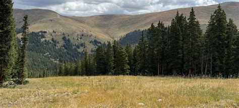 Ski Cooper Uphill Skin Route, Colorado - 23 Reviews, Map | AllTrails