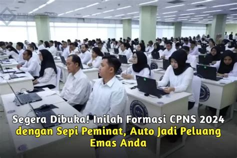 Segera Dibuka Inilah Formasi Cpns Dengan Sepi Peminat Auto Jadi