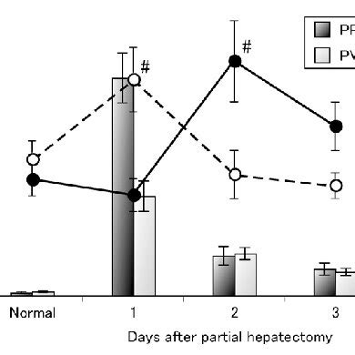 Time Courses Of Dna Synthesis And Gln Lys Content Levels In Different