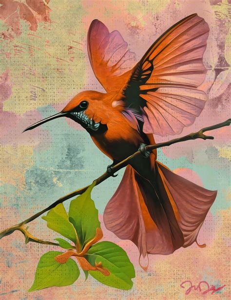 Hummingbird By Nine9nine9 On Deviantart