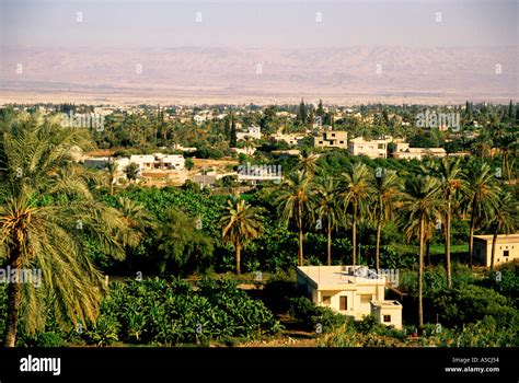 Israel Jericho in the West Bank Palestine Stock Photo - Alamy