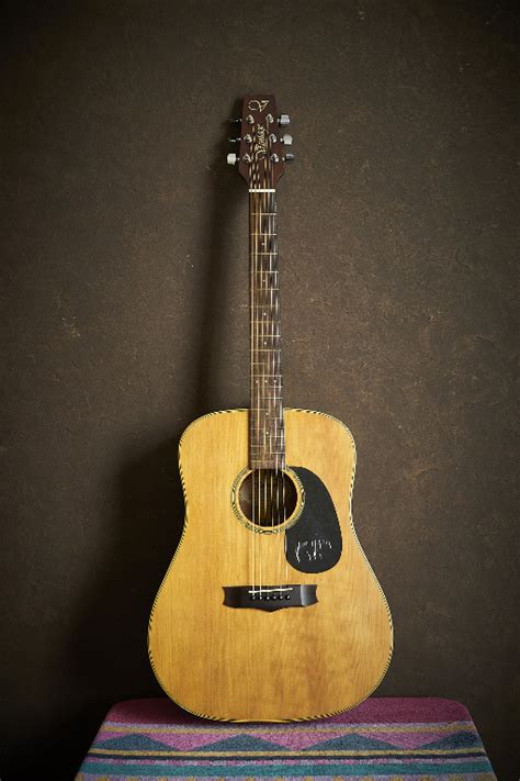 Vantage Acoustic Guitar, Hobbies & Toys, Music & Media, Musical ...