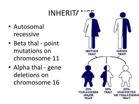 Ppt Thalassemia Powerpoint Presentation Free Download Id5594086