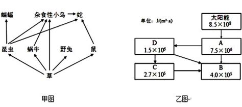 每空2分，共10分图甲是某草原生态系统的食物网，图乙表示该生态系统部分能量流动简图。请回答下列问题： 1从图甲中可以看出影响杂食性小鸟