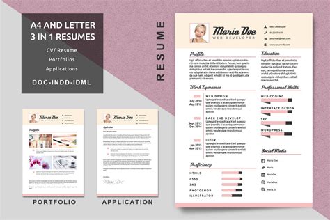 20+ Best InDesign Resume Templates (INDD CV Templates) | Design Shack