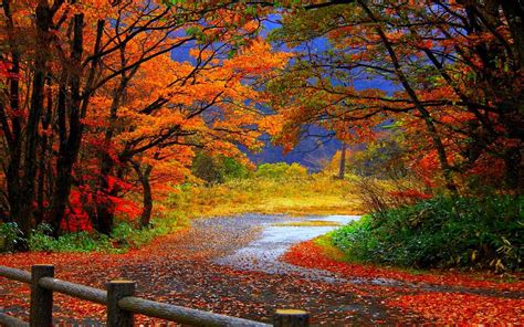 Top 6 Android Autumn Live Wallpapers to Enjoy Falling Leaves