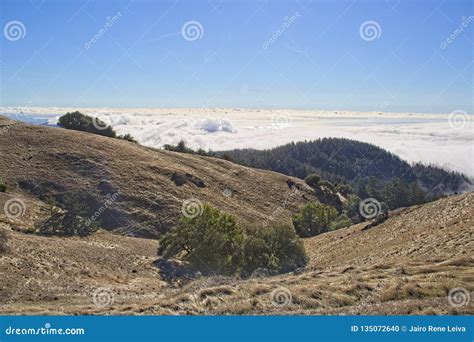 Mt Tamalpais hiking trails stock photo. Image of hills - 135072640