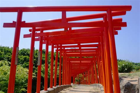 伏見稲荷大社だけじゃない！朱色の鳥居が連なる絶景神社4選｜zekkei Japan