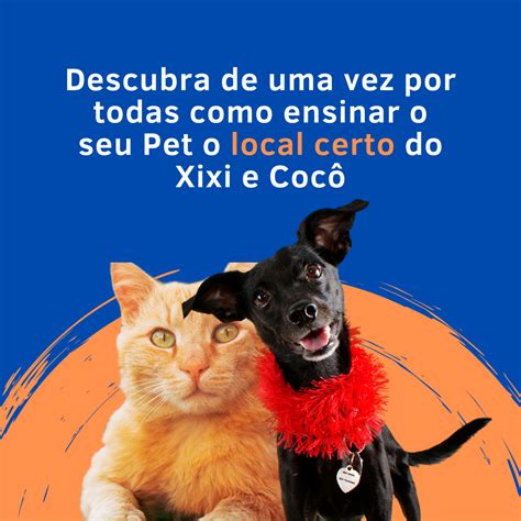 Xixi E Coc No Lugar Certo Nilton Alves Ribeiro Hotmart