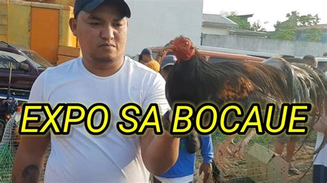 Pang Expo Na Ang Quality Ng Manok Sa Bocaue Pet Market Youtube