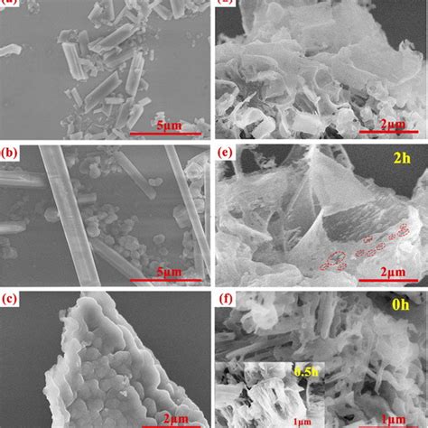 Detailed Illustration Of The Synthesis Of G C3n4 Porous Nanosheet The