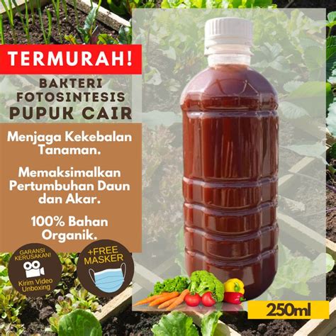 Jual Pupuk Organik Tanaman Home Made Pupuk Fotosintesis Psb Ml