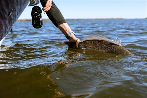 Top Fishing Spots Near Corpus Christi