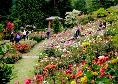 Portland Rose Festival - Portland, Oregon