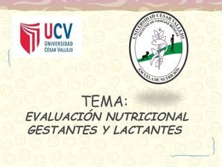 Evaluación Nutricional Gestantes y Lactantes PPT