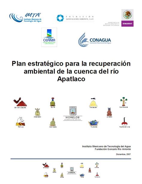 Plan Estrat Gico Para La Recuperaci N Ambiental De La Cuenca Del R O