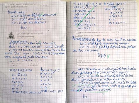 Caiet Lucru Matematica Talente De N Zdr Vani