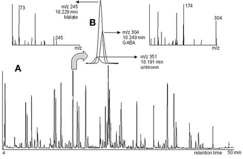 Metabolite Profiling By Gcms Base Peak Intensity Gcms Chromatogram Download Scientific