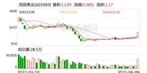 黄金股异动拉升 西部黄金涨停手机新浪网