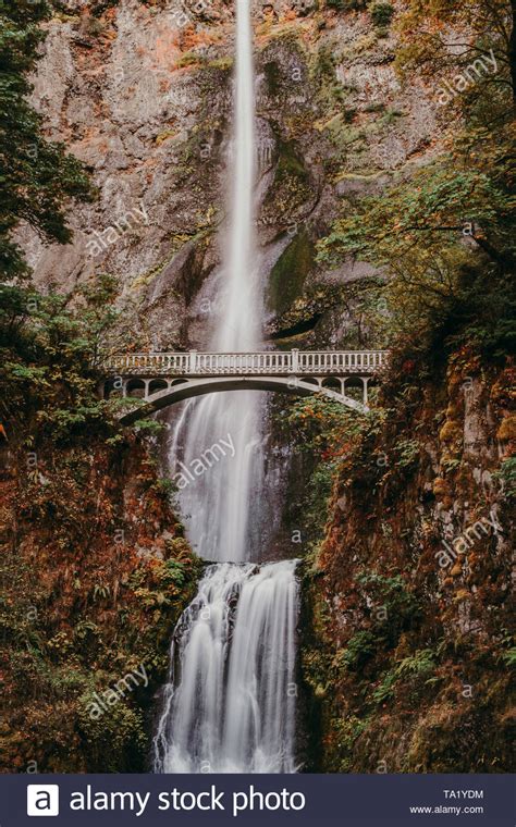 Multnomah Falls In The Fall With Nobody On Benson Bridge Long Exposure