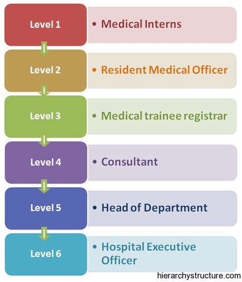 Medical Career Hierarchy