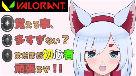 ｢valorant｣お久しぶりのヴァロ配信～コンペやろ～ Youtube