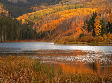 Woods Lake Mountain Photographer A Journal By Jack Brauer