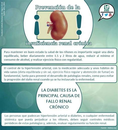 Prevenci N De La Insuficiencia Renal Cr Nica Healthy Tips Tips Healthy