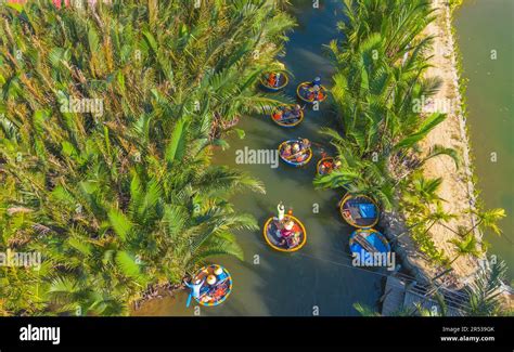 Aerial View Of A Coconut Village Basket Boat Tour Palms Forest In Hoi