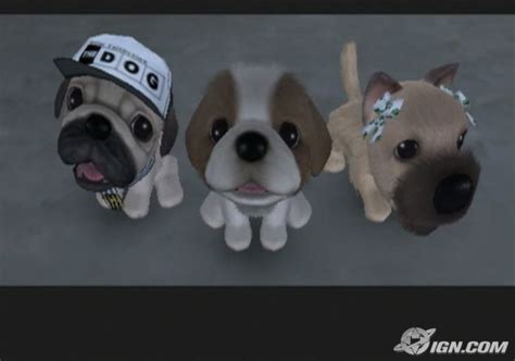 The Dog Island Screenshots Pictures Wallpapers Wii Ign