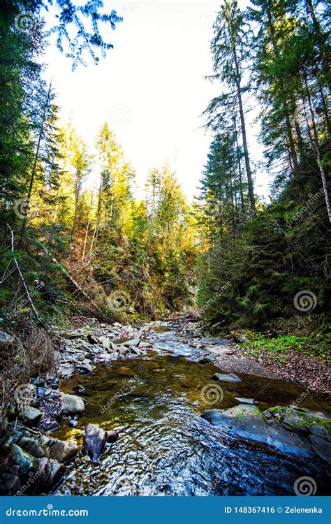 Paesaggio Dellacqua Di Fiume Della Montagna Fiume Selvaggio In