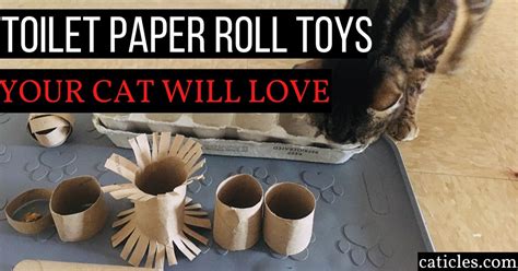 Cat Enrichment Toys Diy | Wow Blog