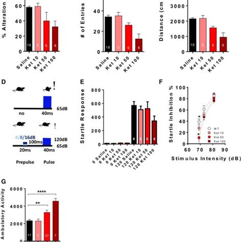 Dose Effect Of Acute Ketamine On Working Memory And Ppi A C Y Maze