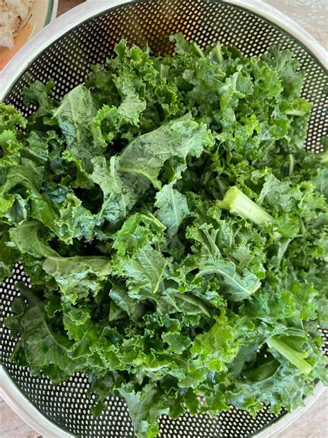 Purple Cabbagekale Andquinoa Salad With Orange Juice Dressing Plant Based Los Angeles