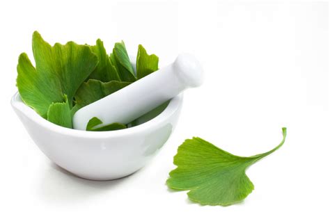 Ginkgo Biloba ⋆ Bienfaits Posologie Et Avis Clients