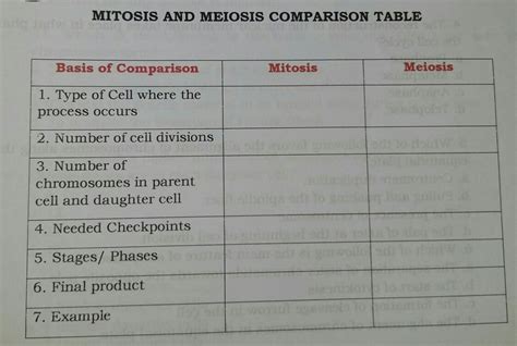 Comparing Mitosis And Meiosis Table