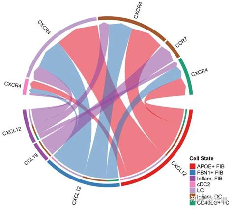 CellChat细胞通讯分析中 实操代码单个样本 知乎