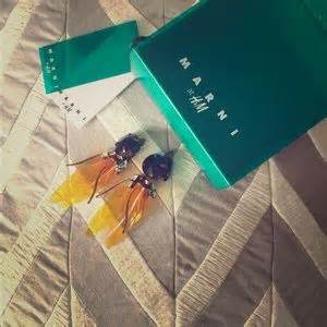 Off Marni For H M Other Hot Pink Marni For H M Shorts From Isabel S Closet On Poshmark