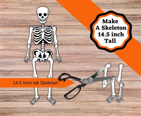 Printable Skeleton Craft 14 5 Inch Skeleton Cut And Glue Craft Easy Skeleton Or Halloween