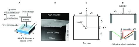 Test Principle A A Schematic Illustration Of The Microindentation