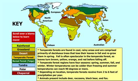 Biomes Around The World Map - Map