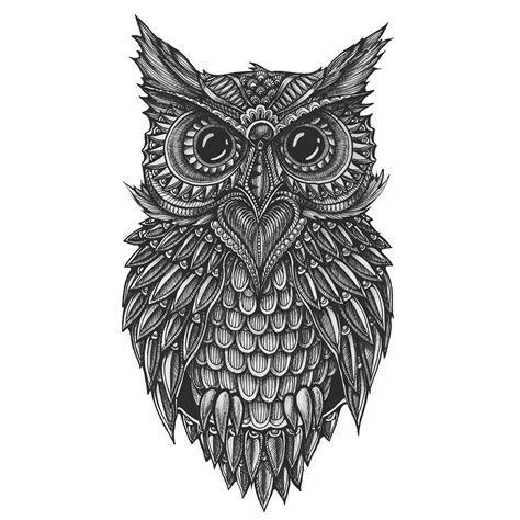 Doodle Owl On Behance