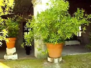 La Monaca Lussuriosa Free Sucking Fake Tits Porn Video XHamster