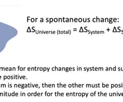 Entropy And Gibbs Free Energy Flashcards Quizlet