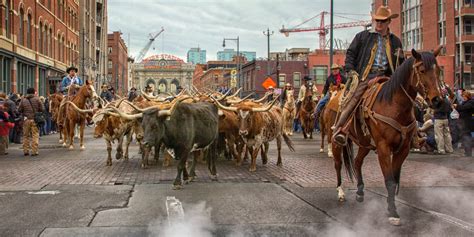 National Western Stock Show – Denver, CO | 2025 January Rodeo Event