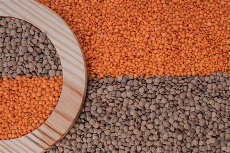 Lentil Images – Browse 164,365 Stock Photos, Vectors, and Video | Adobe Stock