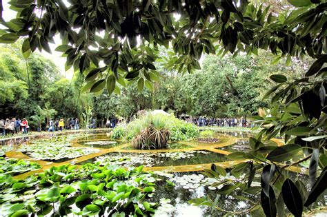 Dal Al Marzo La Mostra Mercato All Orto Botanico Di Palermo Zagara