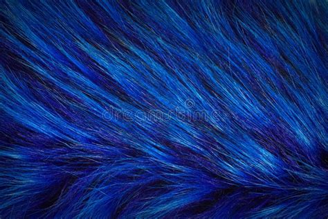 Fabric Texture Fur Blue Background Stock Photo - Image of decorative ...