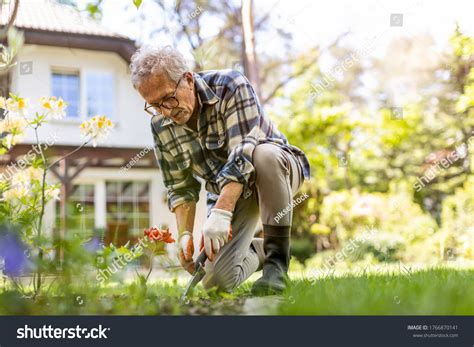 Old Man In Garden Images Stock Photos Vectors Shutterstock