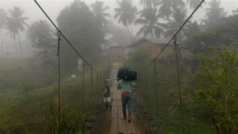 How Nicaragua is devastating the second largest rainforest in the ...